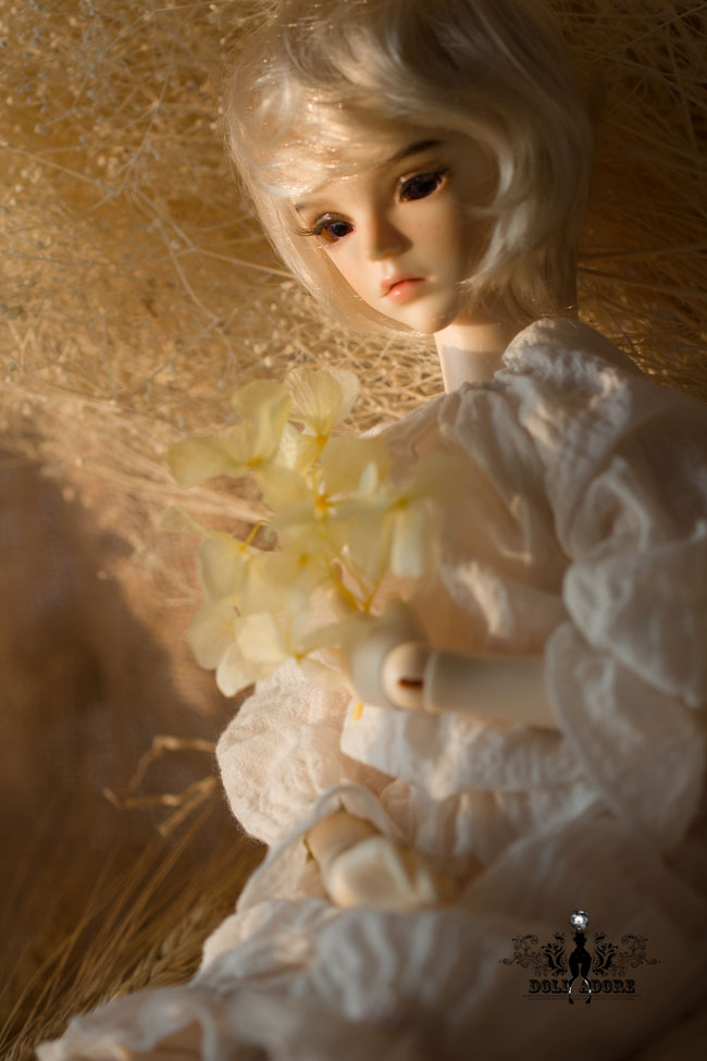 

Кукла BJD OTHER Doll Adore 1/4 BJD MSD Glenn--