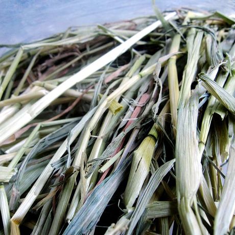 爱逛街为您找到绿燕麦草相关的宝贝,您可以在下面的板块中挑选喜欢的