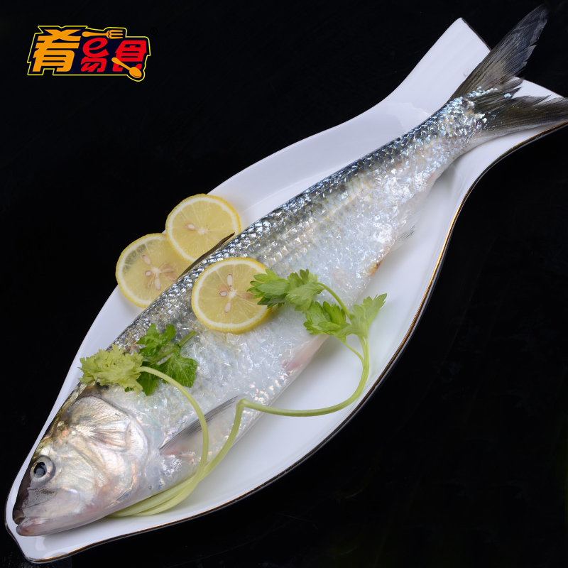 

Dishes easy food 750g