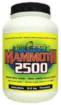 

Аксессуары для проэктора Mammoth Mass 2500 Vanilla (4.4kg) Brand: Interacti