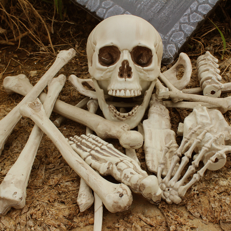 鬼屋密室逃脱酒吧恐怖道具万圣节装饰骷髅骨架28件散骨头棒子棺材