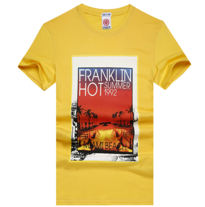 

Футболка мужская Franklin marshall