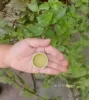 Товары от 百花追忆红颜实体专柜