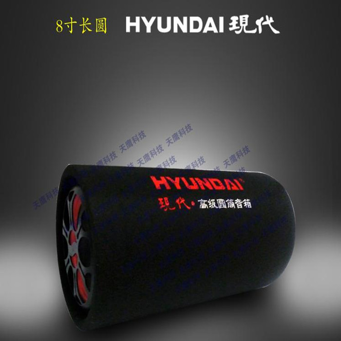

hi-fi сабвуфер Now generation of music 12V24V 220V