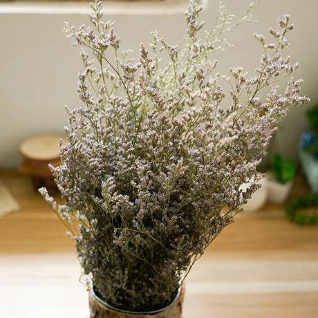 情人草乾花花束仿真花假花花卉 永生花鮮花風乾生日禮物家居飾品