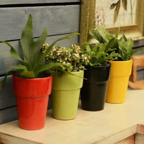 爱逛街为您找到彩色陶瓷花盆相关的宝贝,您可以在下面的板块中挑选