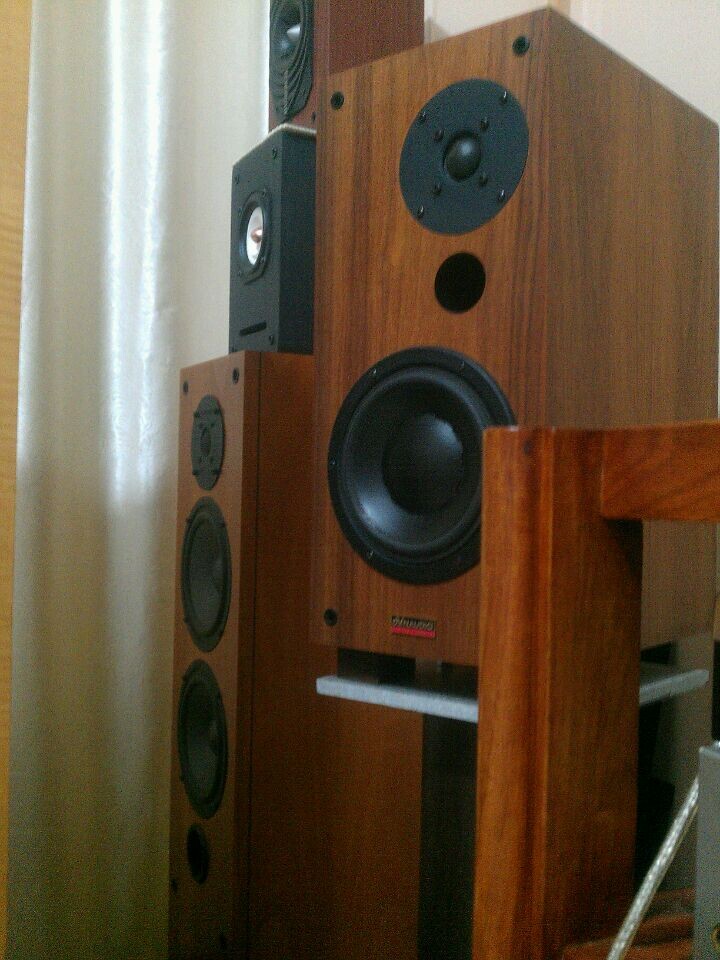 

Hi-Fi акустика Pther DYNAUDIO Contour1.3