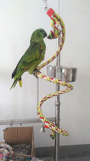 Качели 鸟类玩具大中小型鹦鹉攀爬绳索鸟秋千悬挂爬梯啃咬玩具站架用爬梯