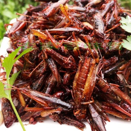 油炸蚂蚱蝗虫沂蒙山野生蚂蚱 下酒菜土蚂蚱 现炸现卖