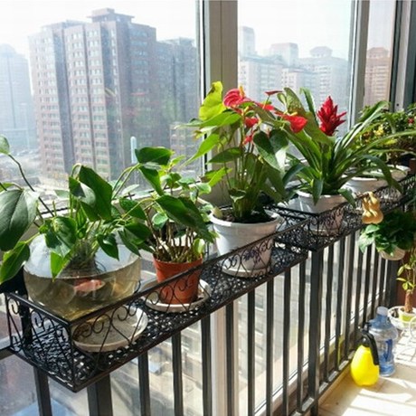 【盆花盆架】_铁艺栏杆图片_阳台架价格_搭配分享 - 爱逛街