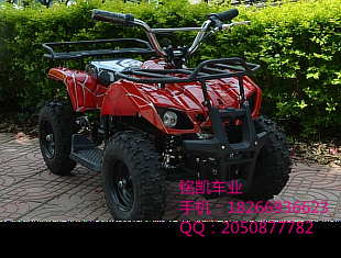 

Electric little Bull -- 500W 36v