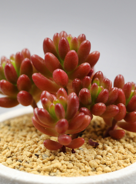 【虹之玉】_红之玉图片_之玉价格_搭配分享 - 爱逛街