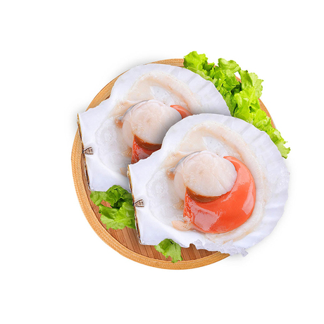 爱逛街为您找到半壳扇贝相关的宝贝,您可以在下面的板块中挑选喜欢的