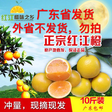 红江橙_红江橙【价格 图片】_淘宝网红江橙_淘宝网