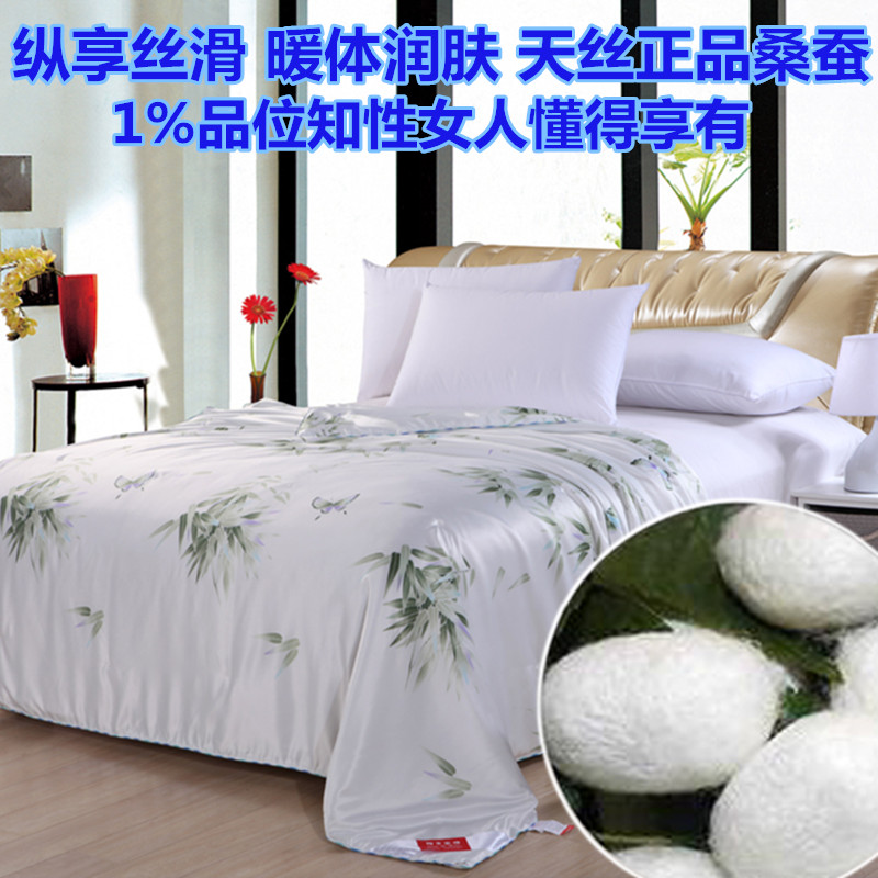 

Одеяло Diana Tencel silk worm air conditioning DB/31101008 100%