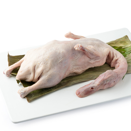 爱逛街为您找到樱桃谷鸭相关的宝贝,您可以在下面的板块中挑选喜欢的