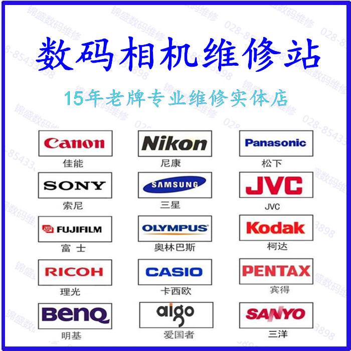 

Canon, Samsung, Nikon, Panasonic, Fuji, Pentax, Olympus, Casio, Patriot, Sony
