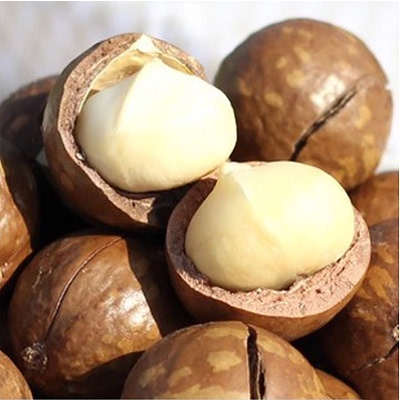 爱逛街为您找到特价500g坚果相关的宝贝,您可以在下面的板块中挑选