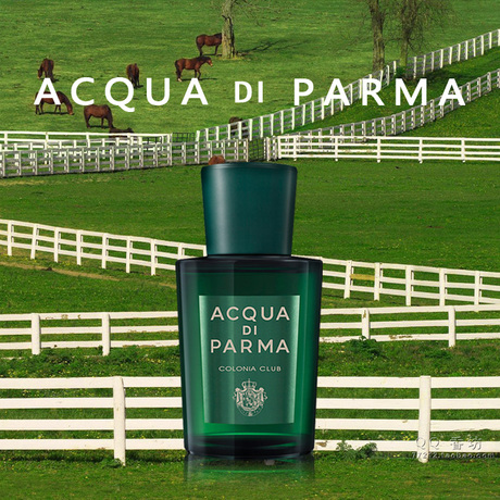 acqua di parma帕尔玛之水colonia club青草气息古龙水50ml100ml