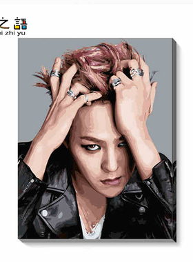 发布了  非之语 diy数字油画 大幅卧室手绘人物装饰画, 明星权志  