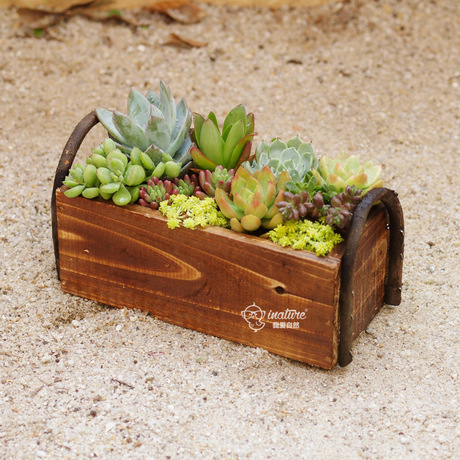 爱逛街为您找到木质花盆相关的宝贝,您可以在下面的板块中挑选喜欢的