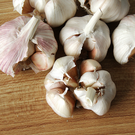 爱逛街为您找到山东大蒜相关的宝贝,您可以在下面的板块中挑选喜欢的