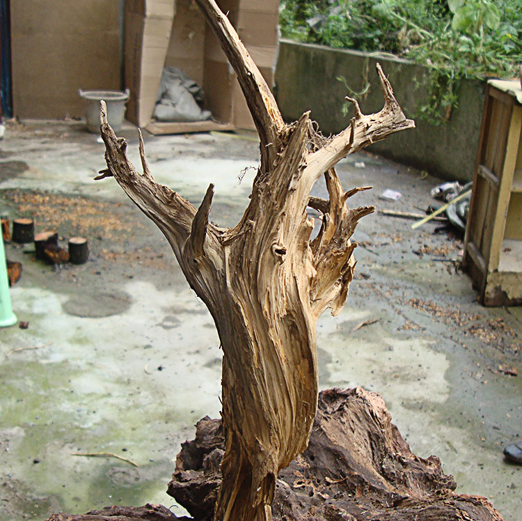 

Изделие из корневища Shun Dragon wood carving art Diy