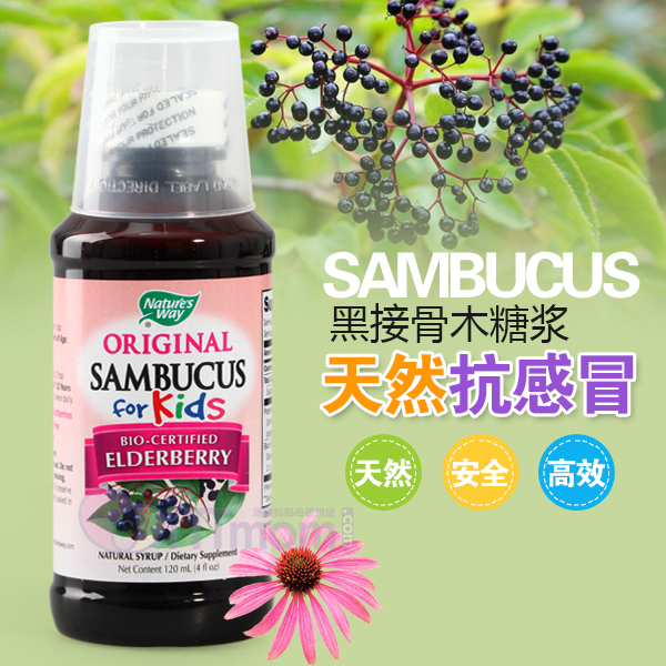 

SAMBUCUS 120ml