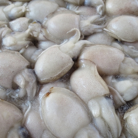 爱逛街为您找到小目鱼相关的宝贝,您可以在下面的板块中挑选喜欢的