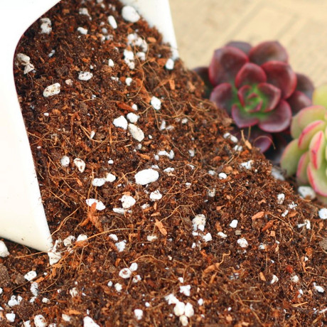 多肉植物专用土 培养土育苗土 进口泥炭土 进口椰糠 新配方600ml