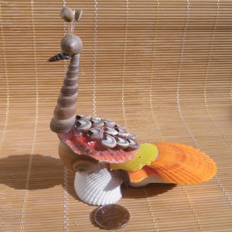 贝壳海螺批发贝壳工艺品 贝壳彩孔雀 创意同学小孩礼物 家居摆件