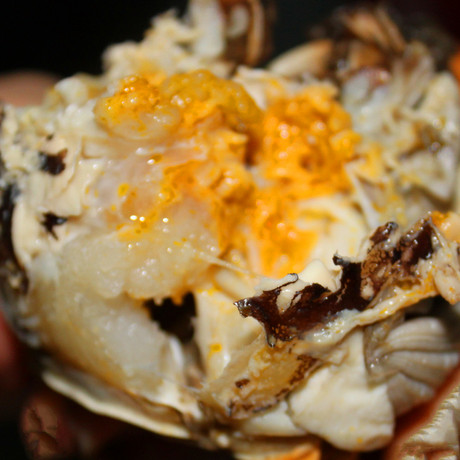 爱逛街为您找到盘锦河蟹相关的宝贝,您可以在下面的板块中挑选喜欢的