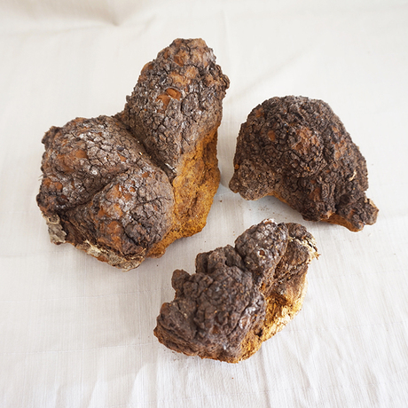 东北特产野生桦树胆 桦树泪白桦茸野生养生药材500g 包邮 - 爱逛街