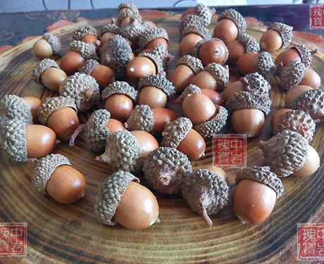 天然橡果橡子壳松果zakka干花戳戳乐材料微景观摆件饰品拍照道具 - 爱