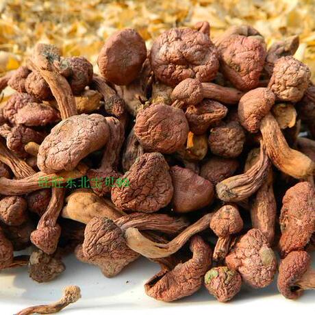 爱逛街为您找到肉蘑菇相关的宝贝,您可以在下面的板块中挑选喜欢的