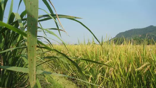 车厩风景区图片