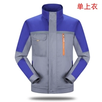 [Горячая модель] серая с синим цветом сокровища (одиночная вершина)