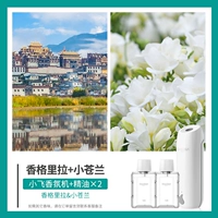 Xiaofei+Shangri -la+British Pear xiao Canglan