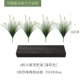 Little Wolf Tail Botanical Bag B 【Puwa Color 55 см】