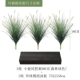 Little Wolf Tail Botanical Pack D [Forest Green 95 см]