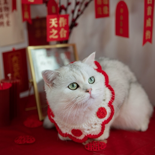 Fomoday Pet Collese Collece Coldace вязаное кошачья кошачья кошачья котенок котенок котенок собачьи продукты милый кошачий нагрудник брак