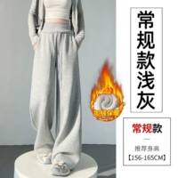 Светло-серый обычный стиль плюс бархат