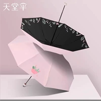 Когда распускаются цветы - розовые