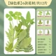 【Сухой цветочный мешок】 1 мешок зеленого/12 кусочков