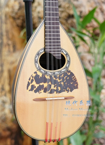 Turlier Roses Full Single Performance Concert Concert Mandolin Spot Итальянский музыкальный инструмент