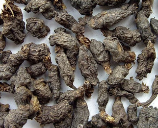 中药材 野生天葵子 正品紫背 纯天然千年老鼠屎 新货 500克