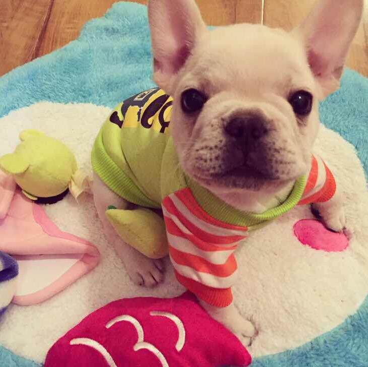 青花瓷雕塑瓷娃娃摆件 中式陶瓷家居工艺品创意人物软装饰品摆设 - 爱