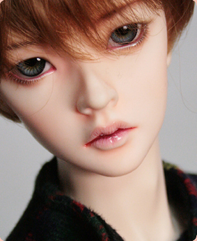 taobao agent 【support】1/3 bjd hayil（Korean genuine, the shipping group freight is calculated separately）