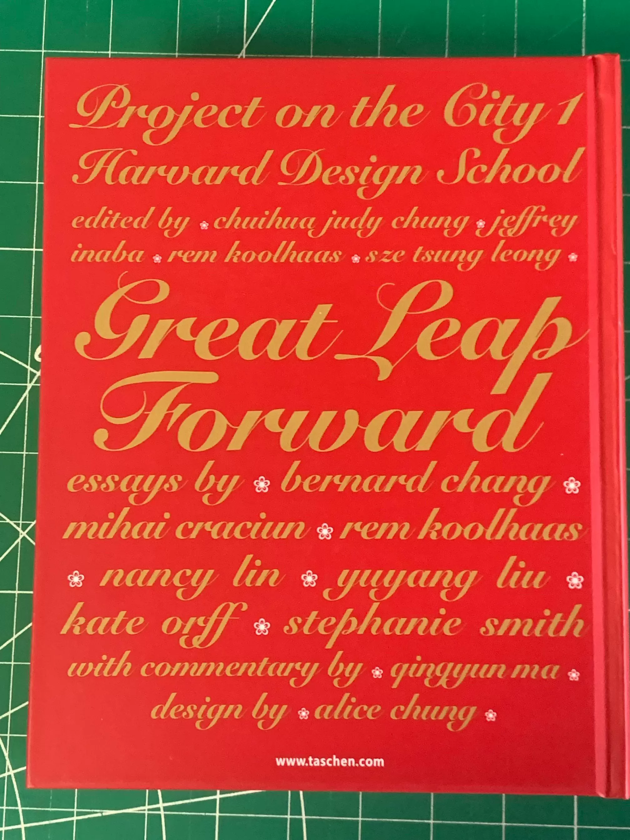 Great Leap Forward / 大跃进库哈斯哈佛大学城市研究-Taobao