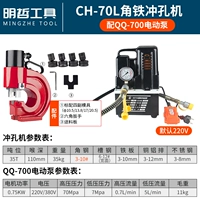 CH-70L+QQ-700 Электрический насос
